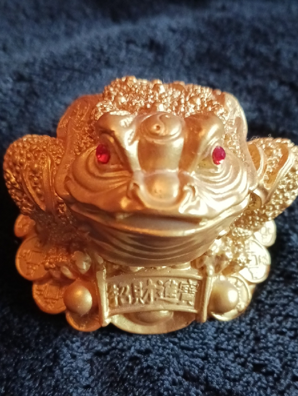 Good Luck Frog - Picture 6 of 6